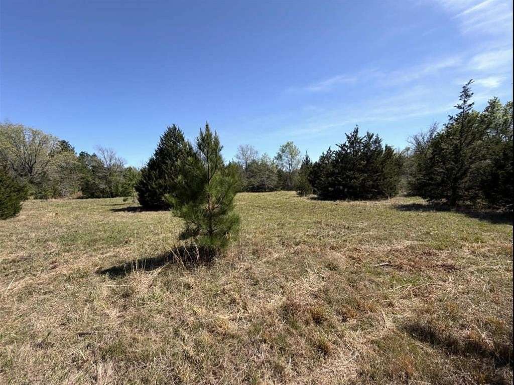 10 Acres of Recreational & Residential Land for Sale in Oakwood, Texas