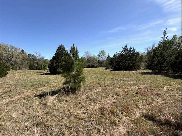 10 Acres of Recreational & Residential Land for Sale in Oakwood, Texas