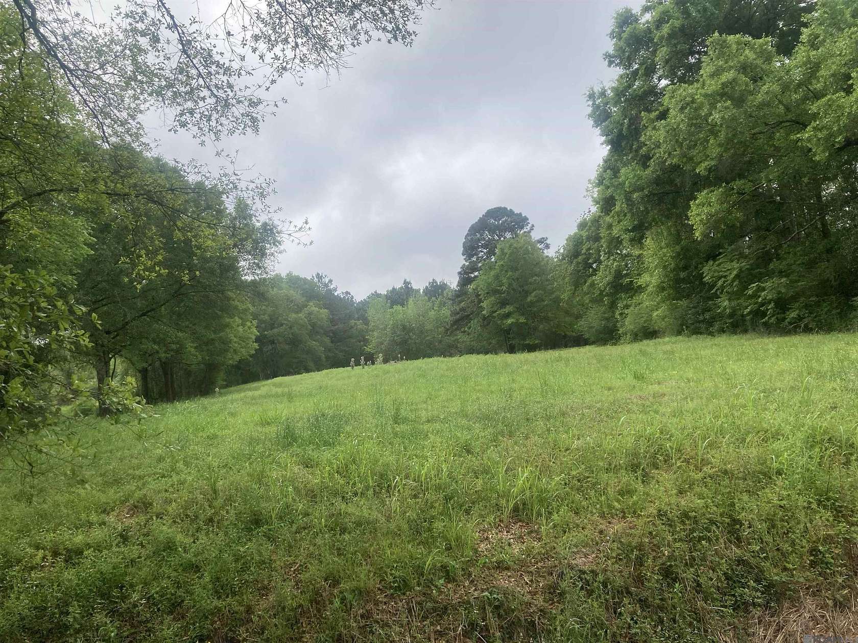 28.5 Acres of Land for Sale in Denham Springs, Louisiana
