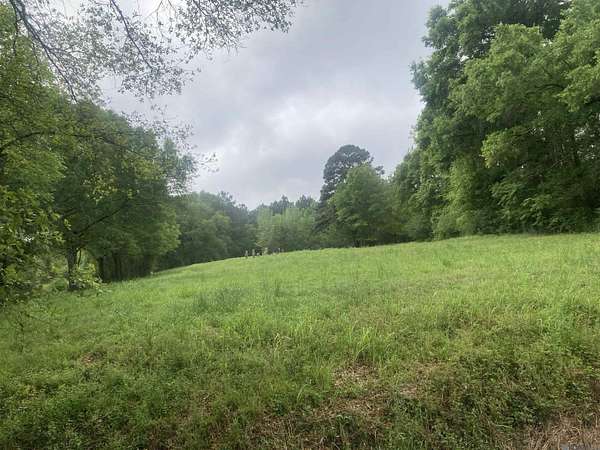 28.5 Acres of Land for Sale in Denham Springs, Louisiana