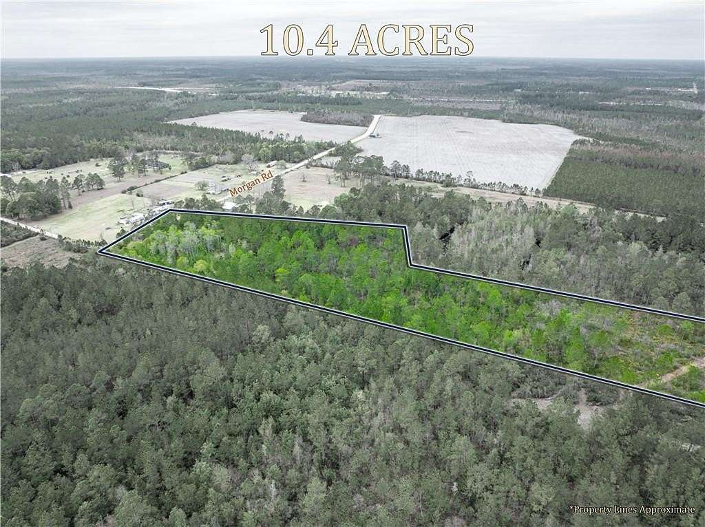 10.4 Acres of Land for Sale in Waycross, Georgia