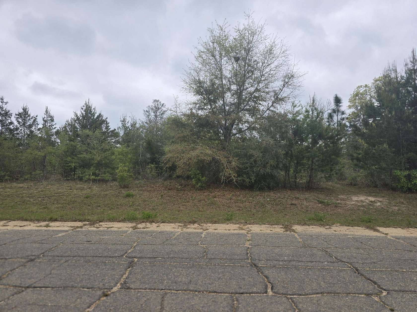 0.23 Acres of Residential Land for Sale in Chipley, Florida