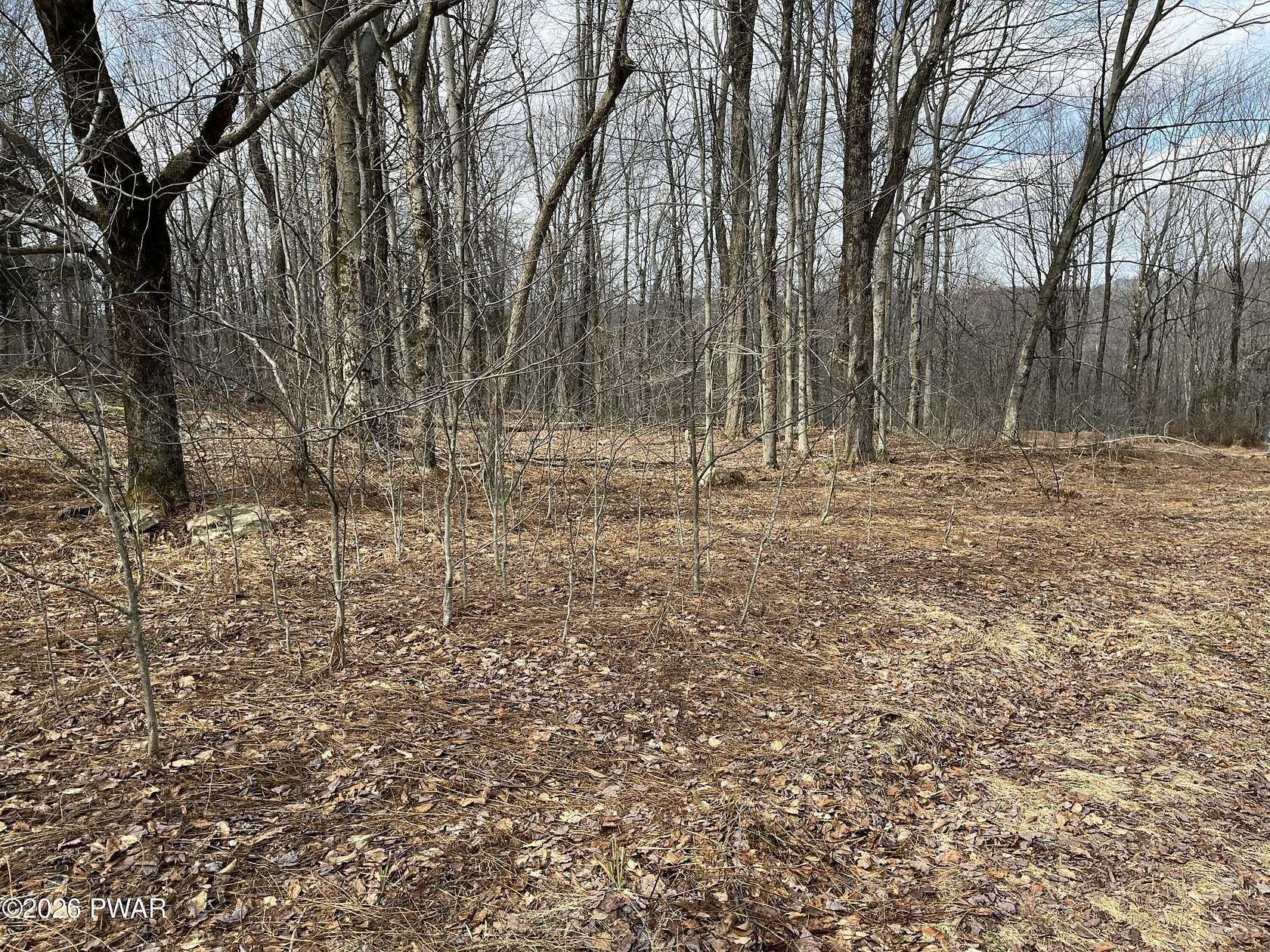 0.89 Acres of Residential Land for Sale in Newfoundland, Pennsylvania