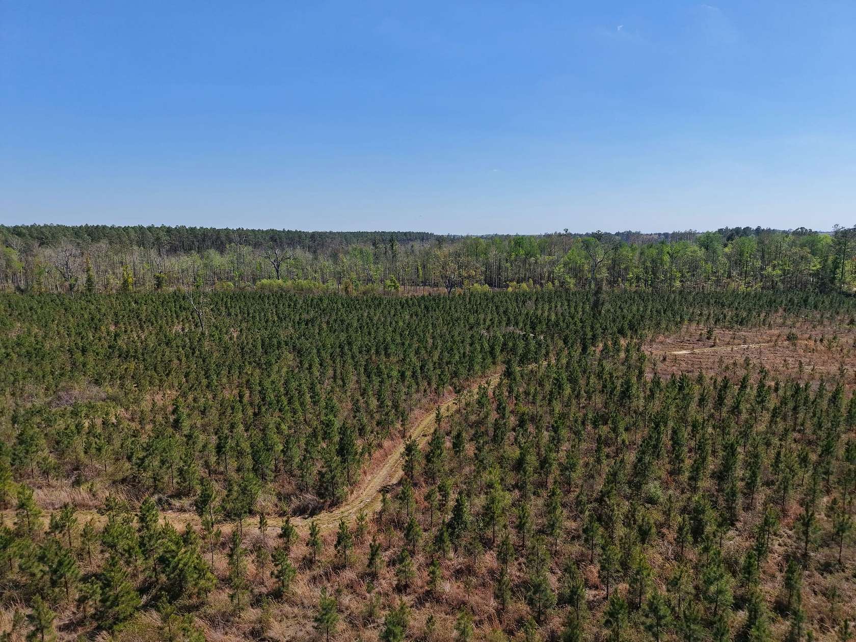 30.3 Acres of Recreational Land for Sale in White Oak, Georgia