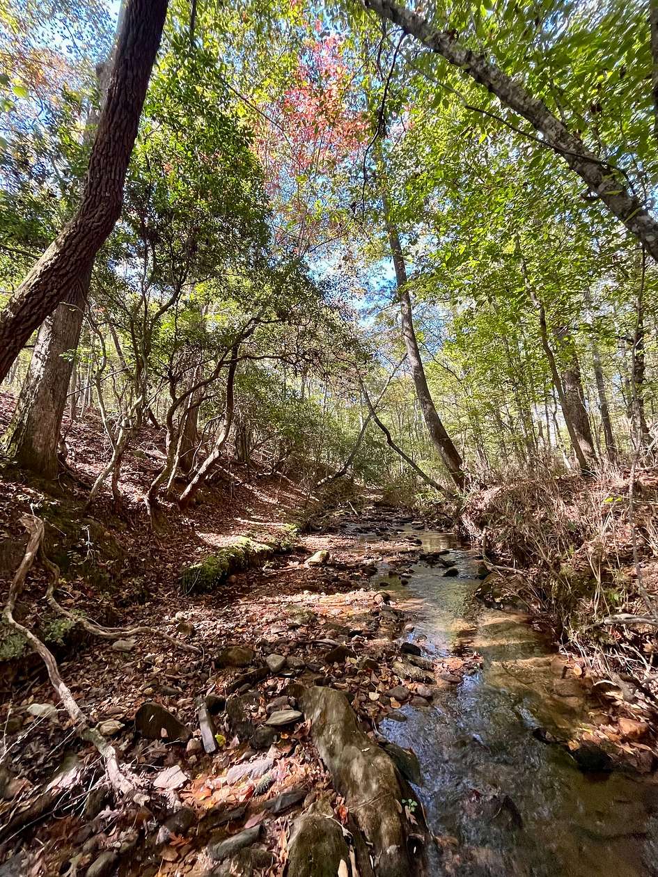 71 Acres of Recreational & Residential Land for Sale in Wedowee, Alabama