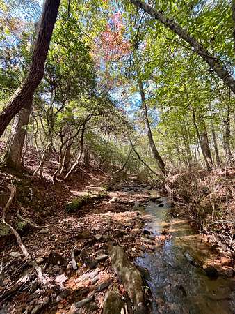 71 Acres of Recreational & Residential Land for Sale in Wedowee, Alabama