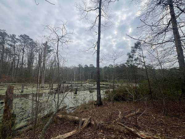 12 Acres of Land for Sale in Grantville, Georgia