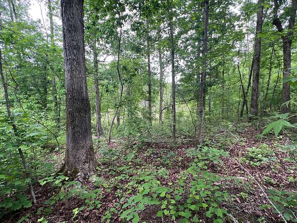 12 Acres of Land for Sale in Grantville, Georgia