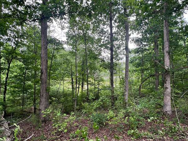12 Acres of Land for Sale in Grantville, Georgia