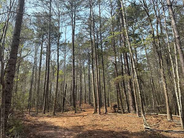 15 Acres of Land for Sale in Camp Hill, Alabama
