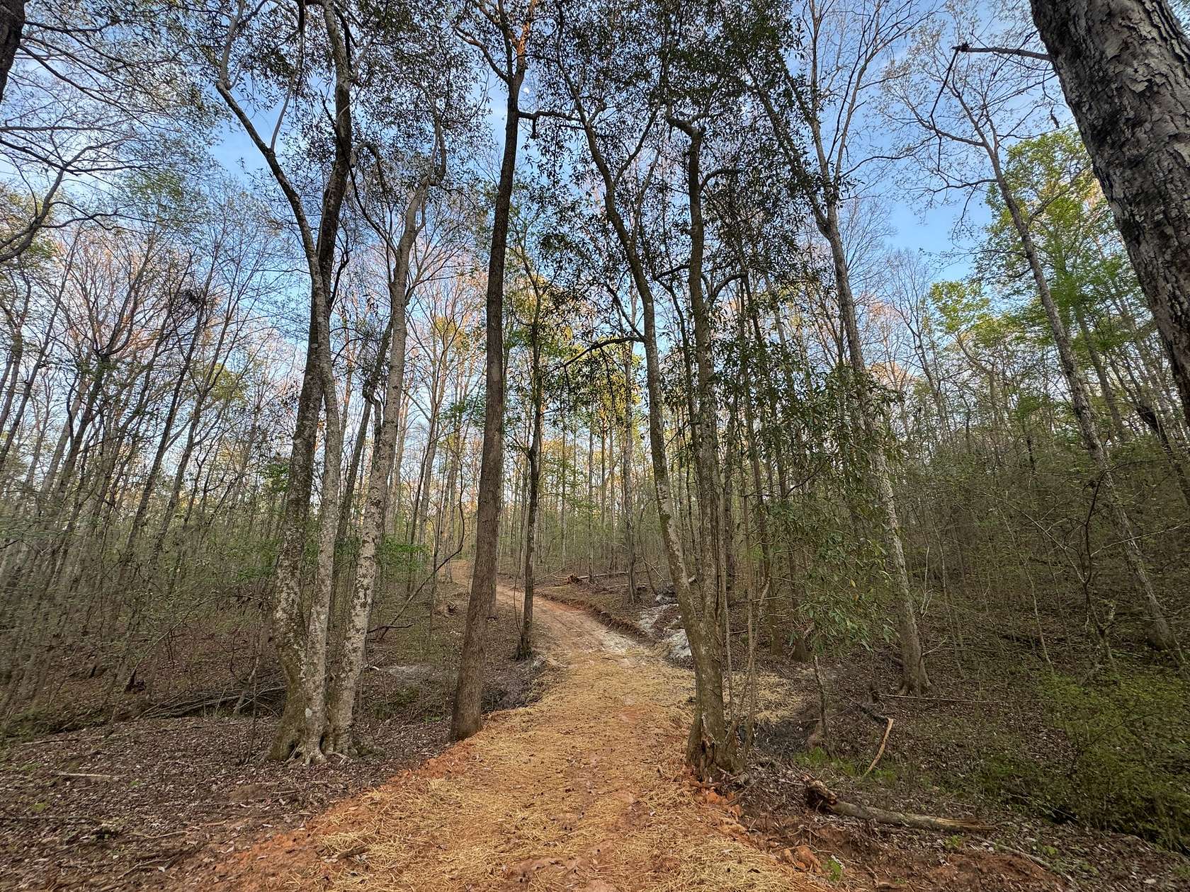 25 Acres of Land for Sale in Camp Hill, Alabama