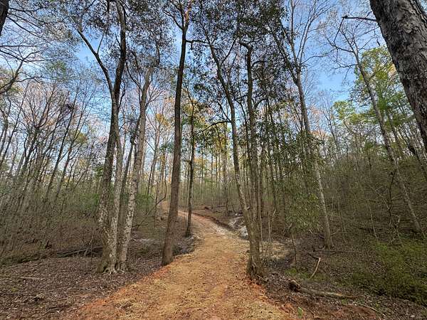 25 Acres of Land for Sale in Camp Hill, Alabama