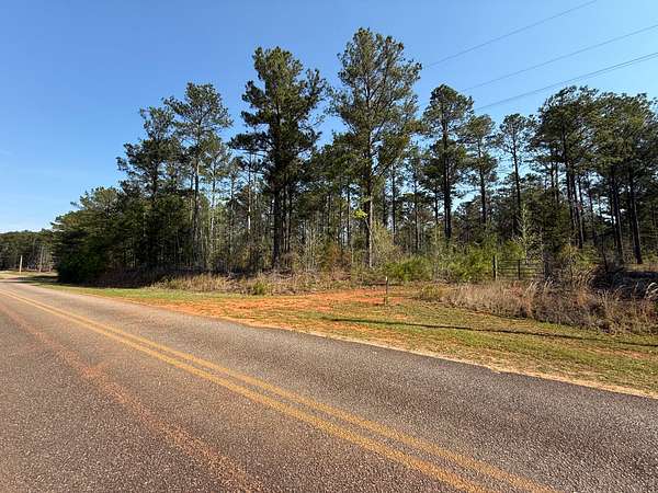 31 Acres of Land for Sale in Camp Hill, Alabama