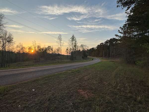 30 Acres of Land for Sale in Camp Hill, Alabama