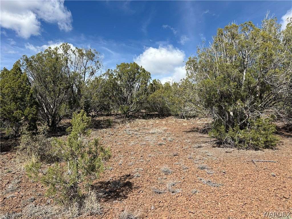 40 Acres of Land for Sale in Kingman, Arizona