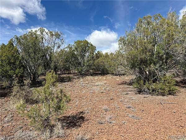 40 Acres of Land for Sale in Kingman, Arizona