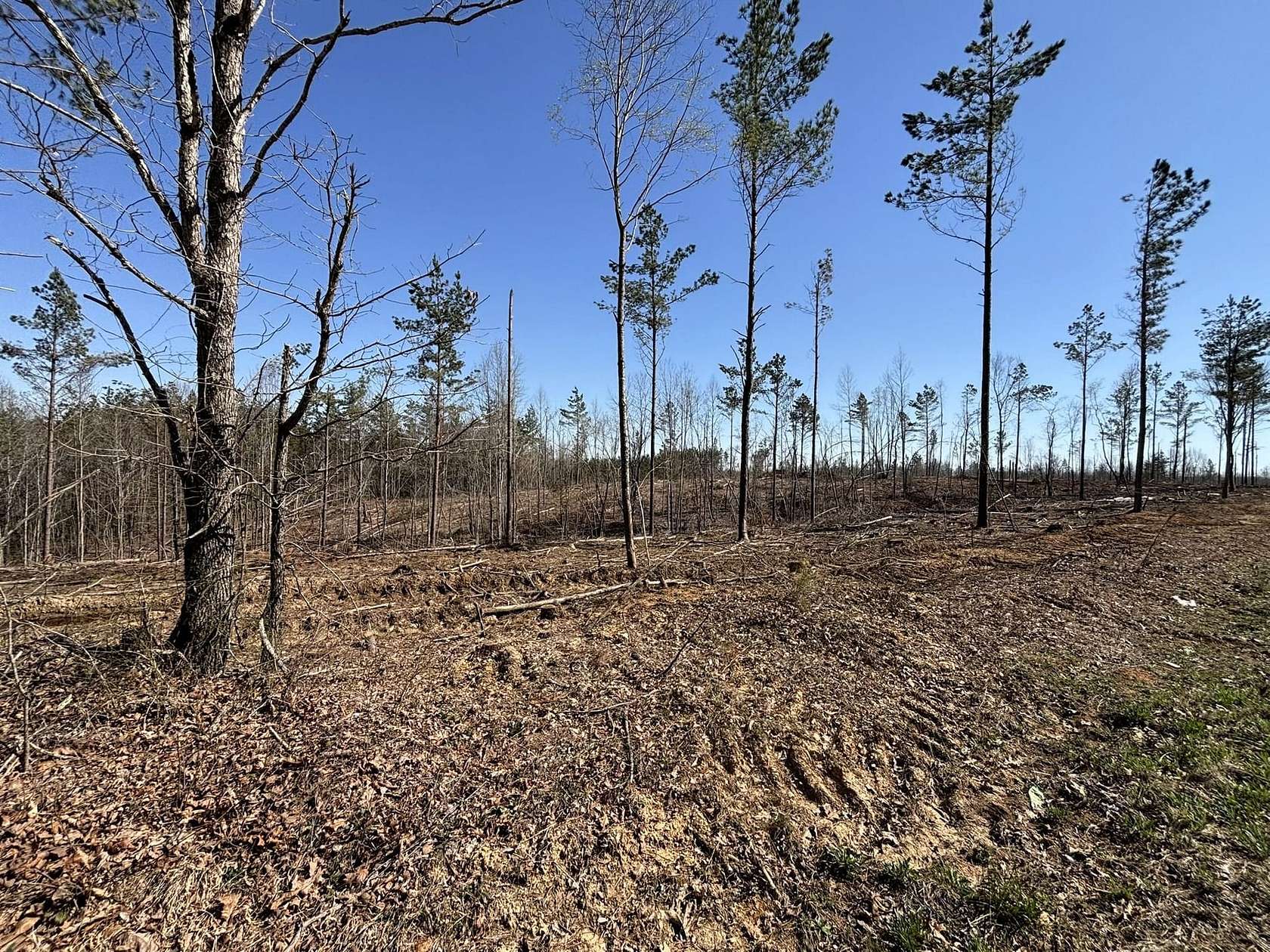 16.5 Acres of Recreational Land for Sale in Lutts, Tennessee