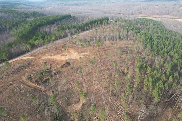 43 Acres of Recreational Land for Sale in Lutts, Tennessee