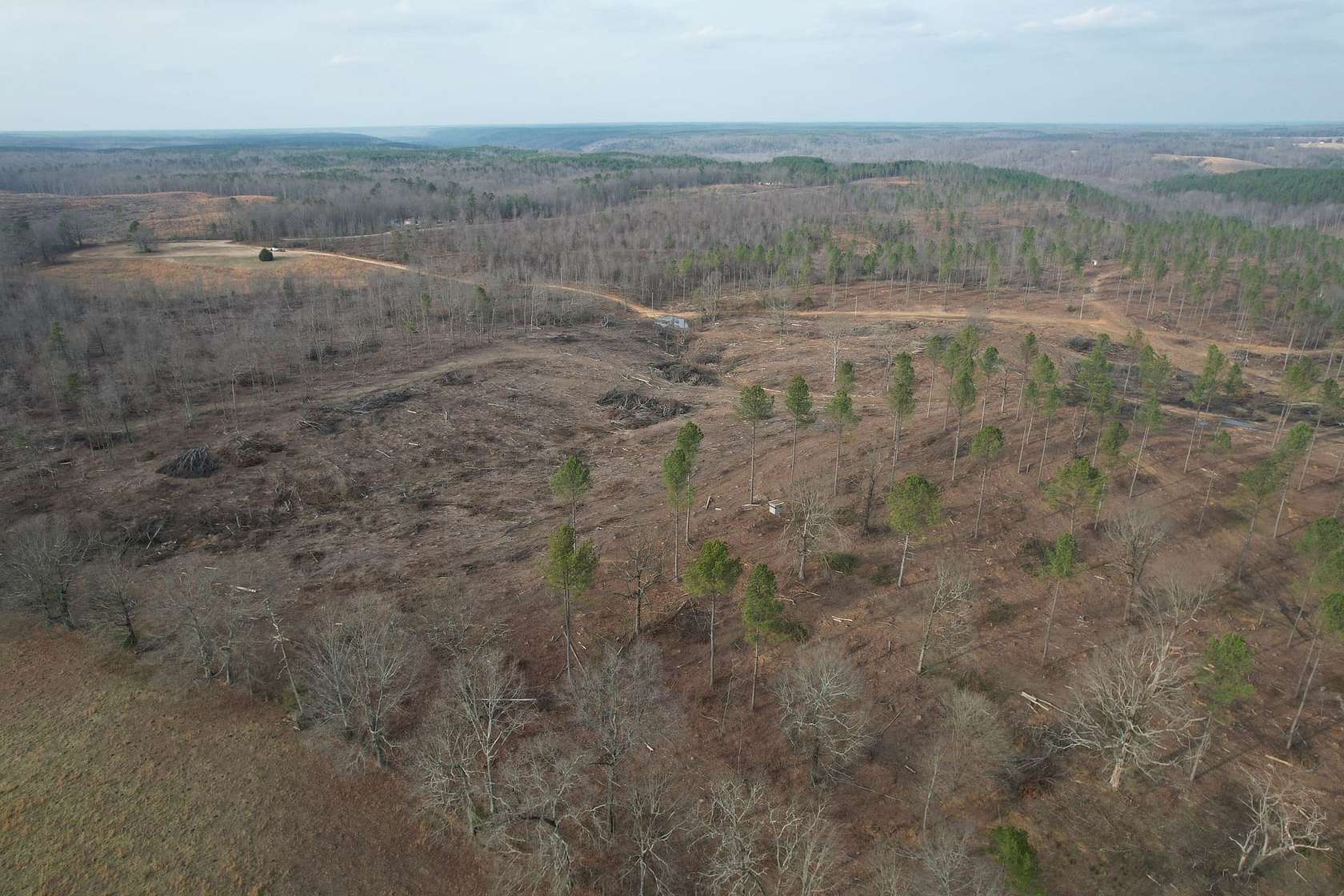 34 Acres of Recreational Land for Sale in Lutts, Tennessee