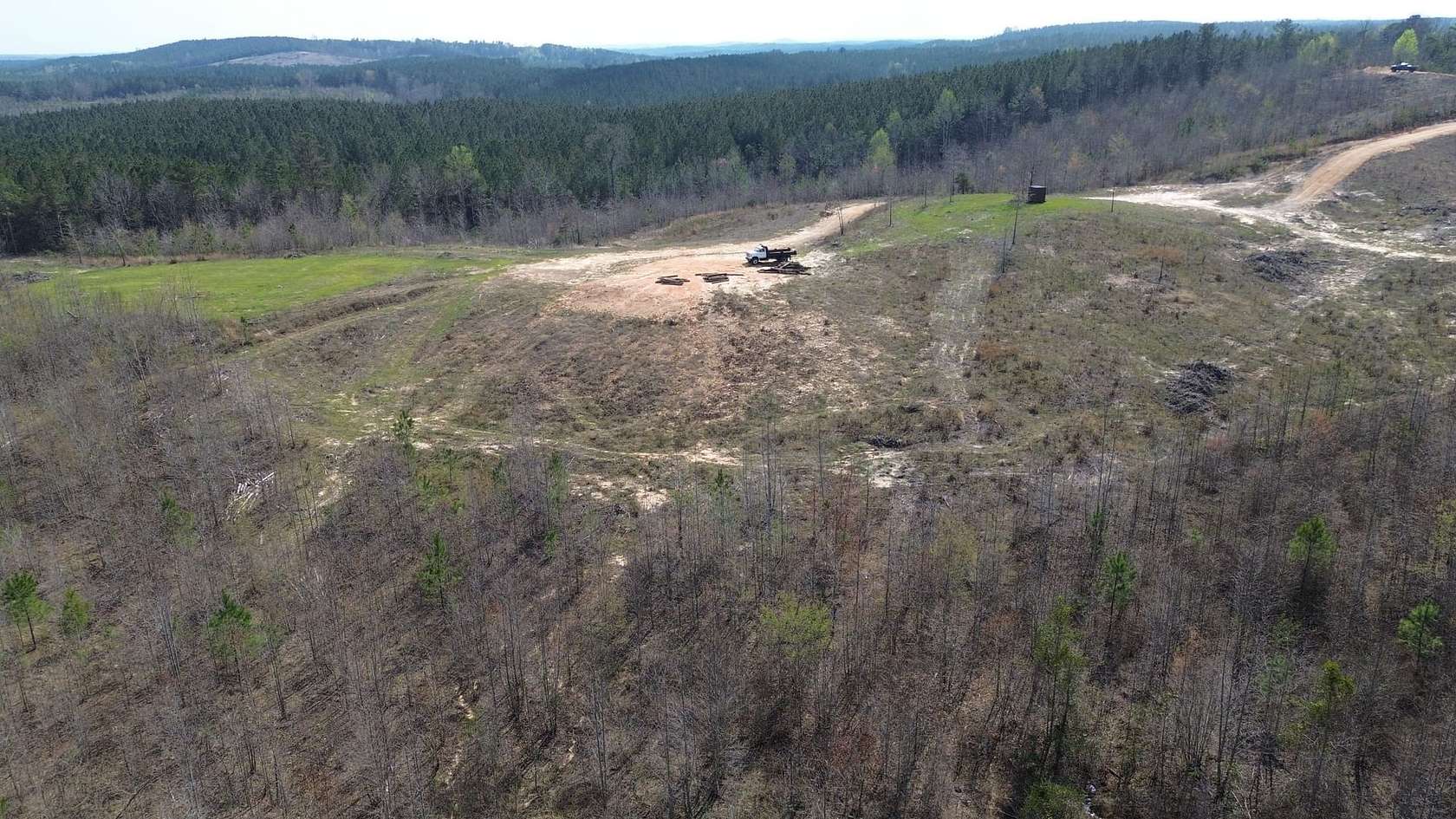 77 Acres of Land for Sale in Bear Creek, Alabama