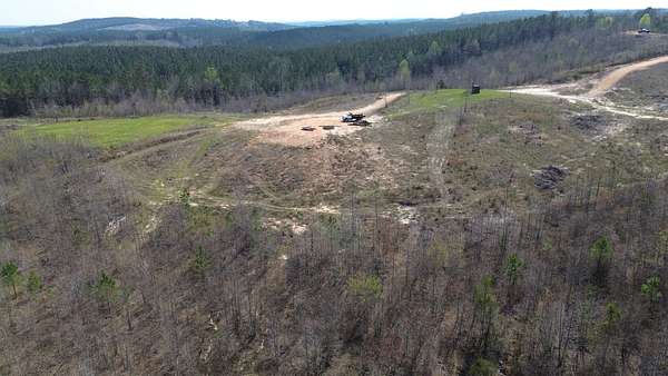 77 Acres of Land for Sale in Bear Creek, Alabama