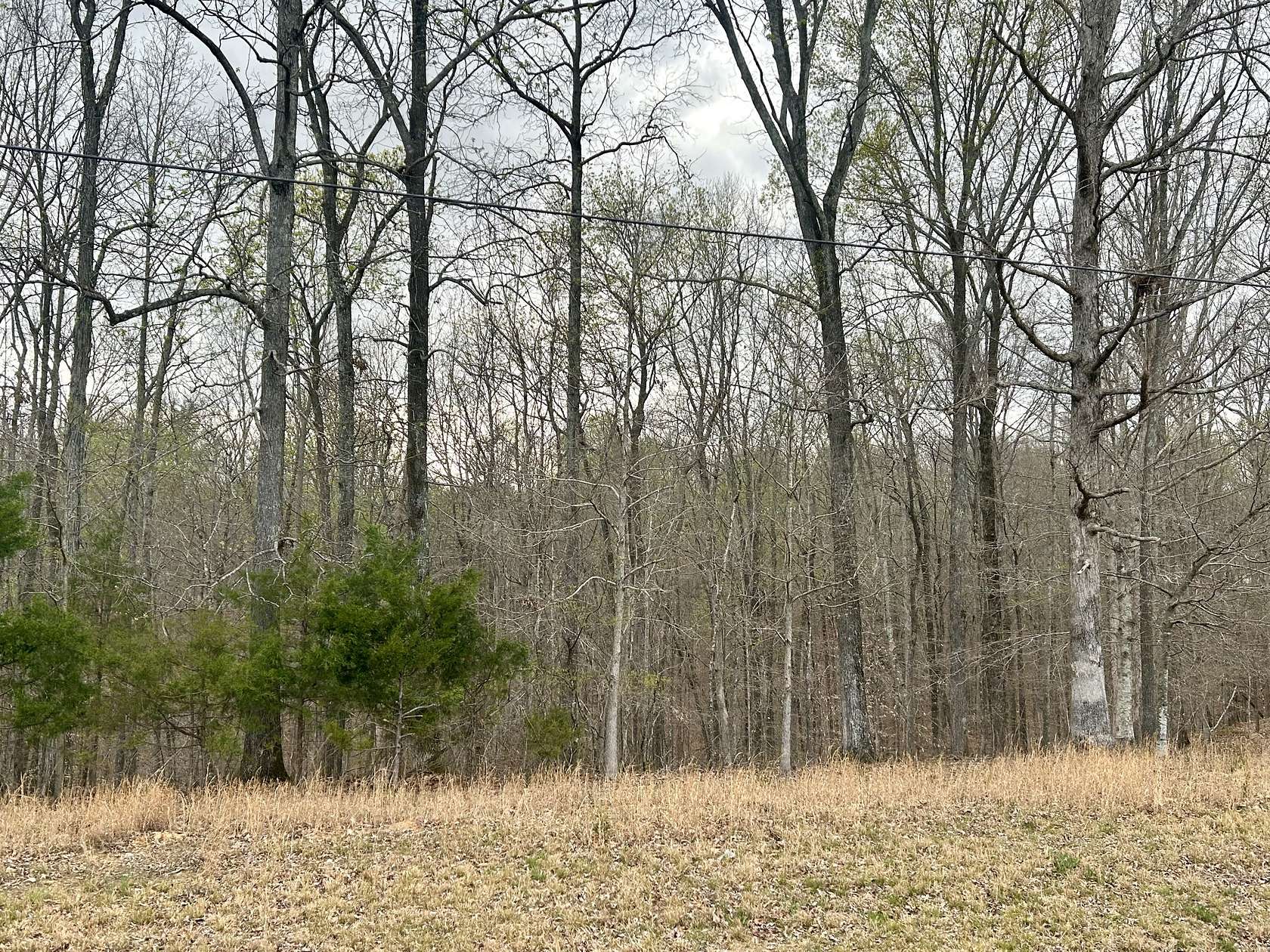 5.47 Acres of Residential Land for Sale in Lynchburg, Tennessee