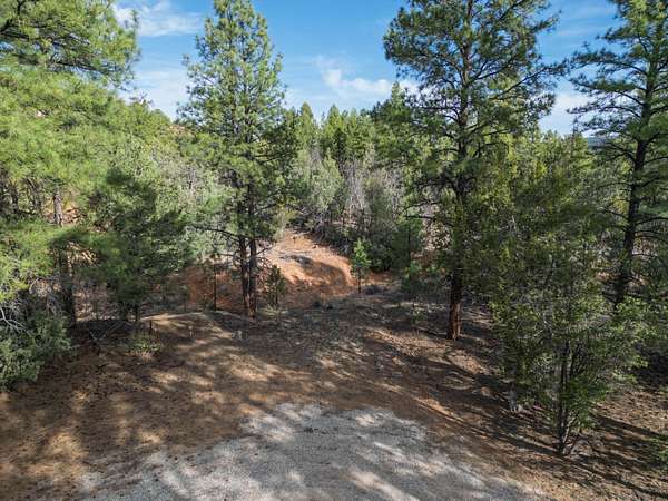 11.5 Acres of Recreational & Residential Land for Sale in Ramah, New Mexico