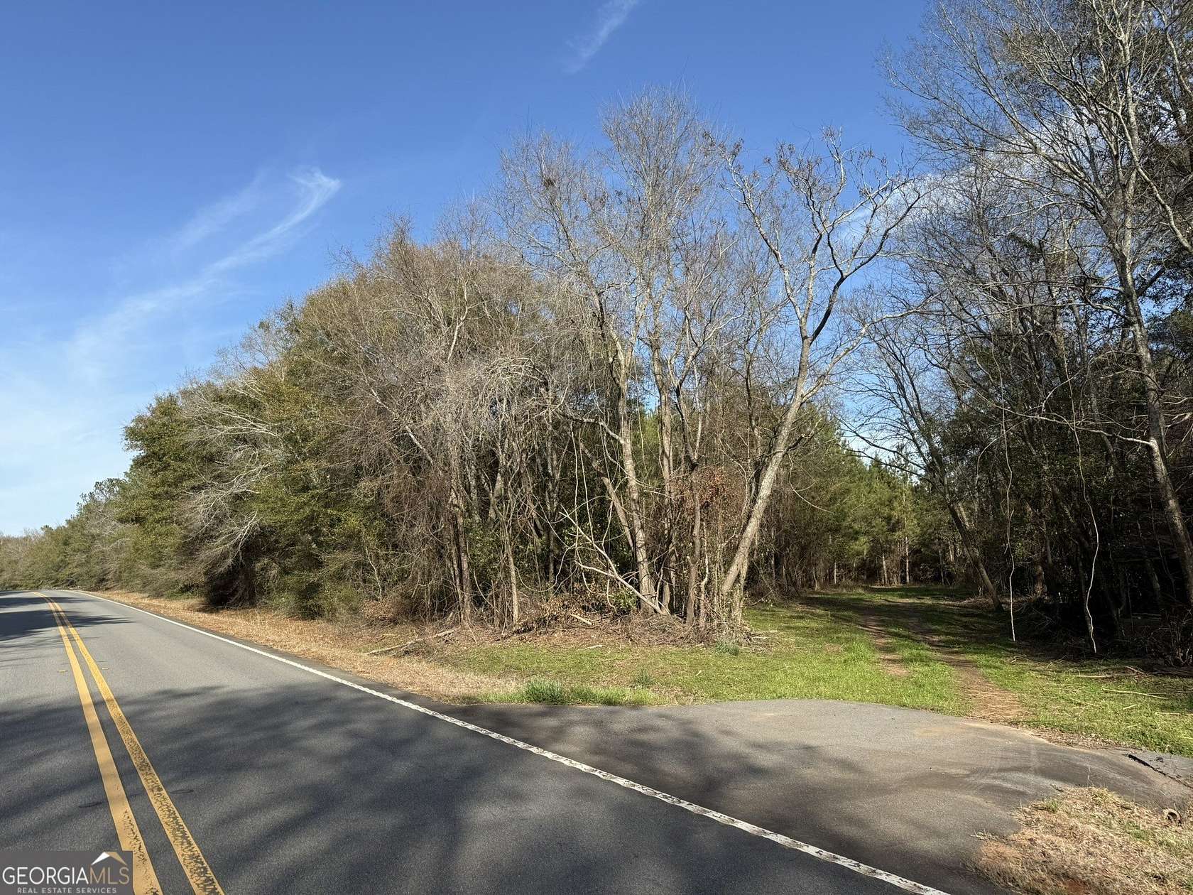 12 Acres of Land for Sale in Plains, Georgia