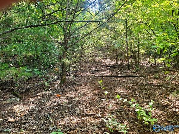 0.8 Acres of Residential Land for Sale in Huntsville, Alabama