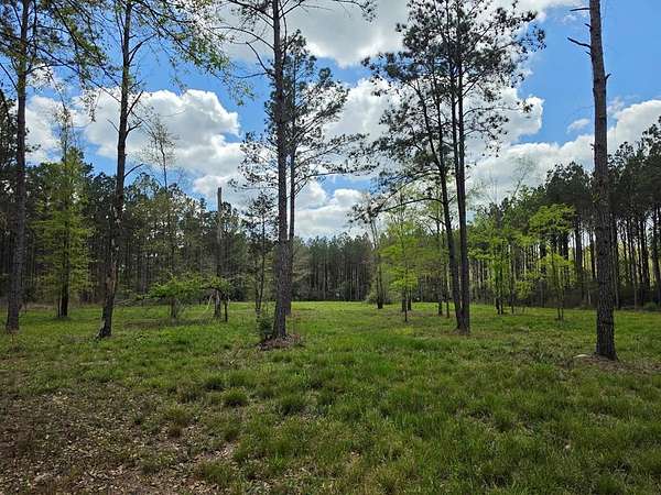 11.1 Acres of Recreational & Residential Land for Sale in Livingston, Texas