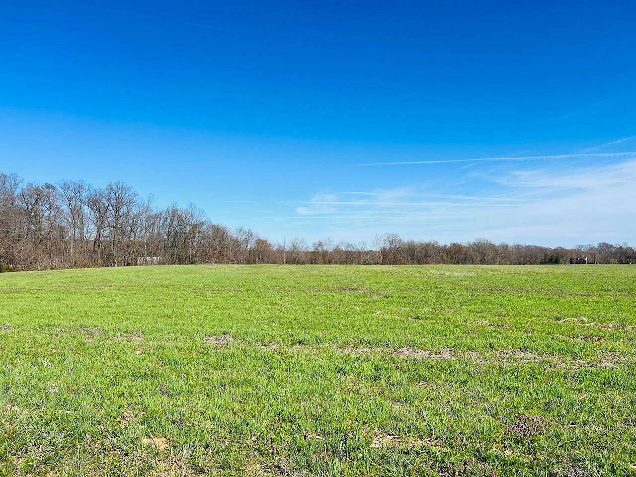 12 Acres of Land for Auction in Russell Springs, Kentucky
