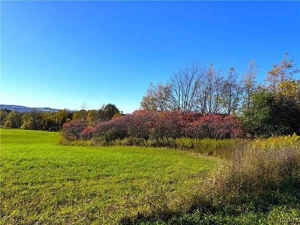 8 Acres of Residential Land for Sale in Frankfort, New York