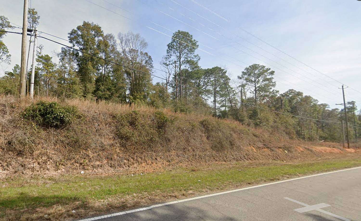 0.86 Acres of Residential Land for Sale in Abbeville, Alabama