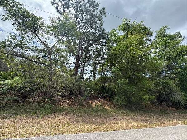 0.23 Acres of Residential Land for Sale in Lake Placid, Florida
