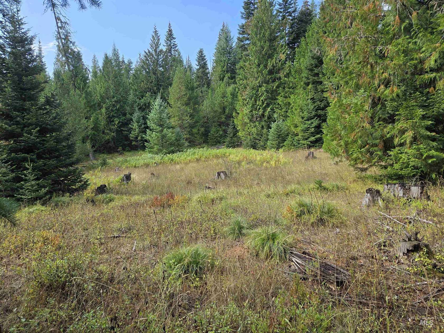 5 Acres of Residential Land for Sale in Weippe, Idaho