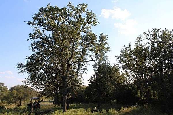 100 Acres of Land with Home for Sale in Fredonia, Texas
