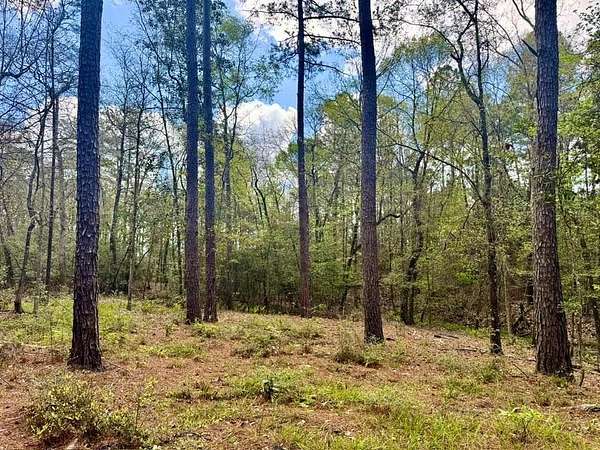 5.6 Acres of Residential Land for Sale in Hillister, Texas