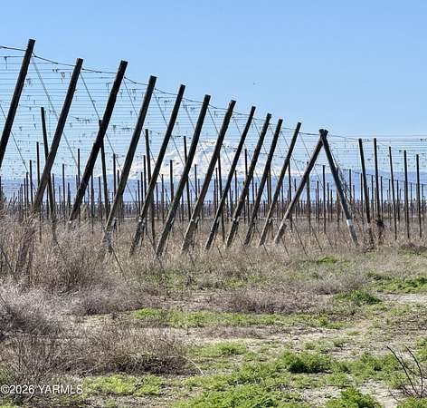 66.4 Acres of Agricultural Land for Sale in Toppenish, Washington
