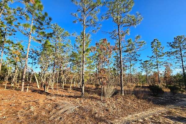 0.2 Acres of Residential Land for Sale in Hawthorne, Florida