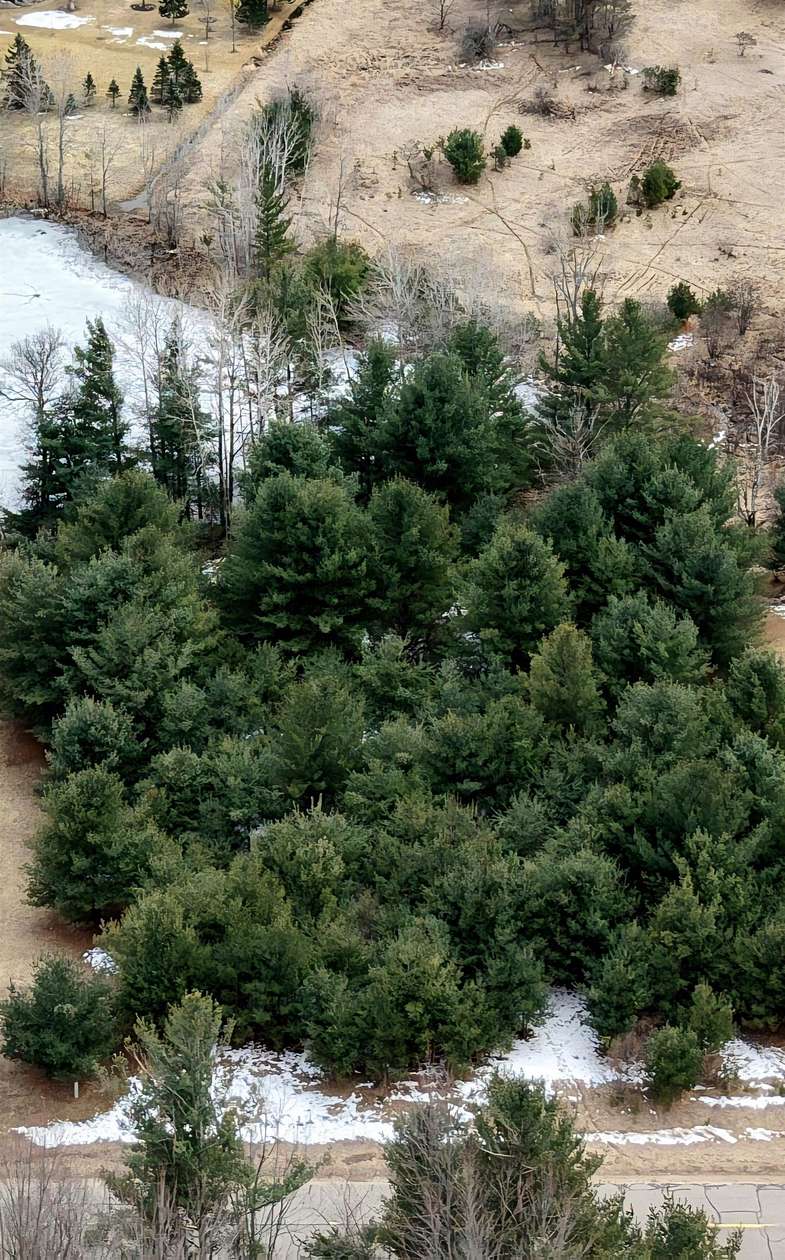 0.3 Acres of Residential Land for Sale in Gladwin, Michigan