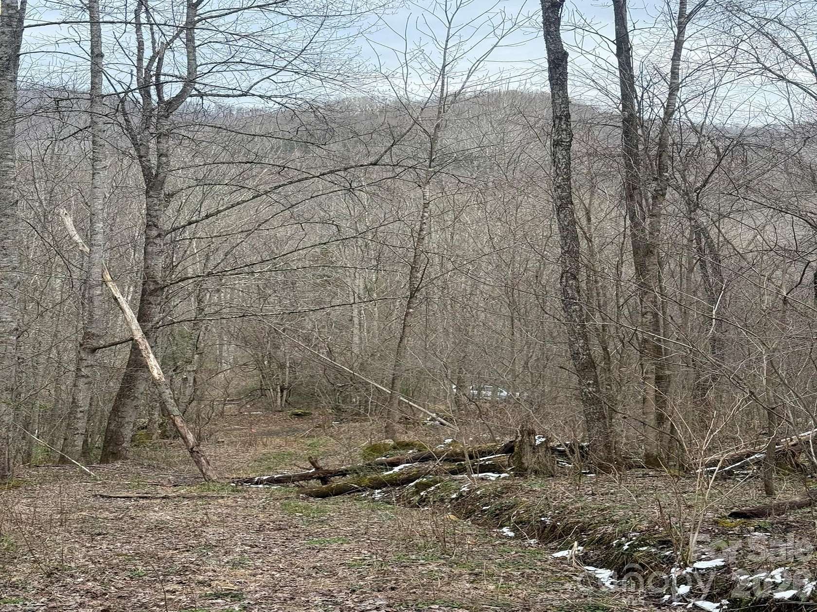 1.2 Acres of Residential Land for Sale in Marshall, North Carolina