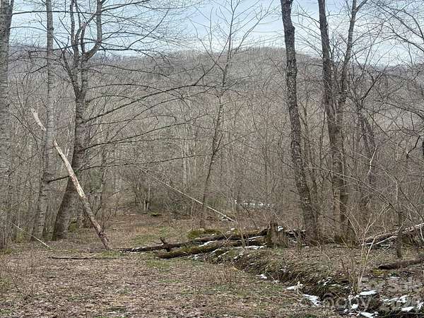 1.2 Acres of Residential Land for Sale in Marshall, North Carolina