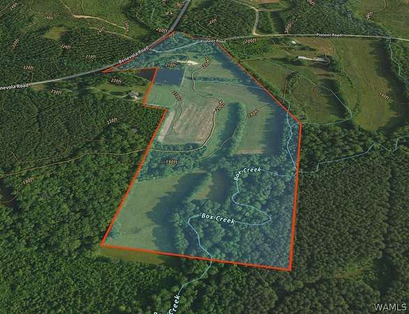 47 Acres of Land for Sale in Gordo, Alabama