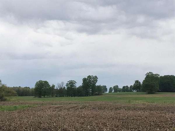 14.5 Acres of Commercial Land for Sale in Hart, Michigan