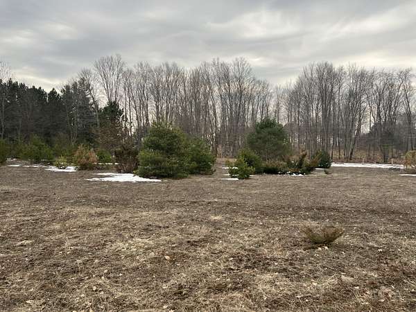 5.69 Acres of Residential Land for Sale in Manistee, Michigan