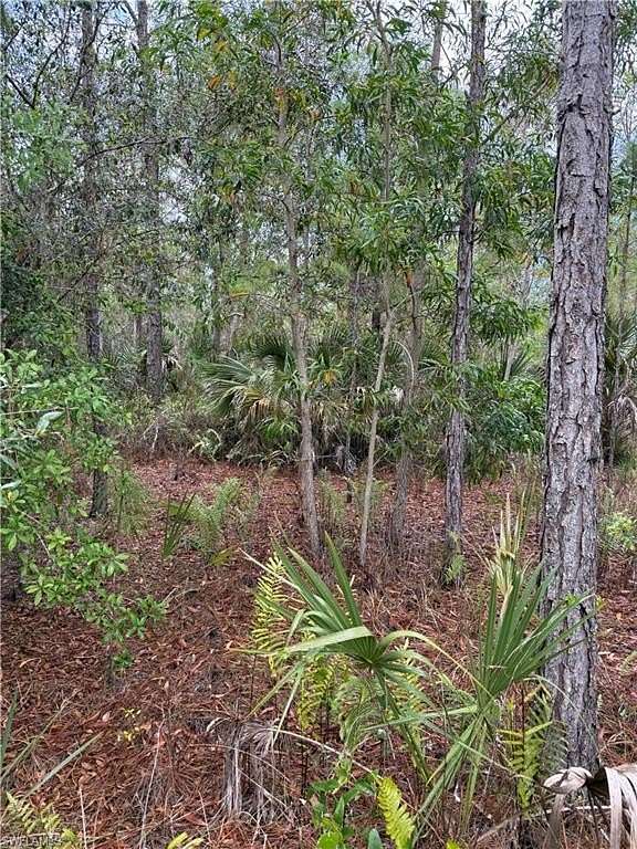 2.72 Acres of Residential Land for Sale in Naples, Florida