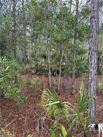 2.72 Acres of Residential Land for Sale in Naples, Florida