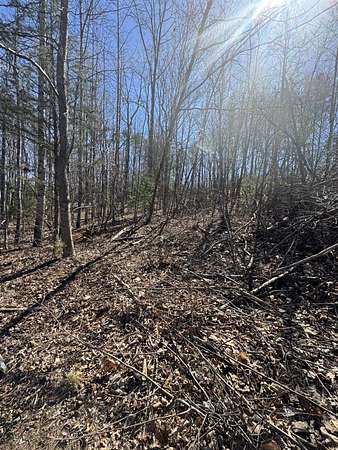 1 Acre of Residential Land for Sale in Henry, Virginia