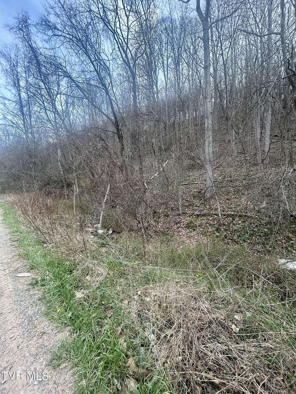 1 Acre of Residential Land for Sale in Abingdon, Virginia