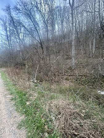 1 Acre of Residential Land for Sale in Abingdon, Virginia